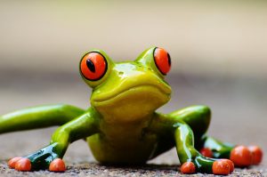 Read more about the article Prokrastynacja – walcz z nią żabami!