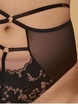 Stringi WINTER