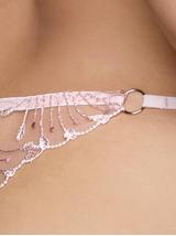 Stringi ISABELLA