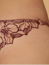 Stringi ROSSA