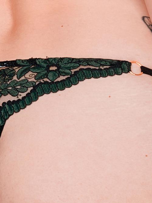 Stringi LORRIE