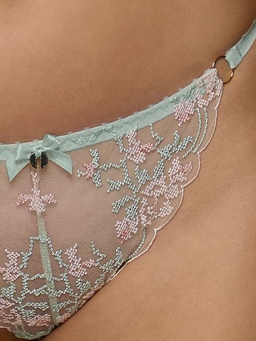 Stringi PISTACIA